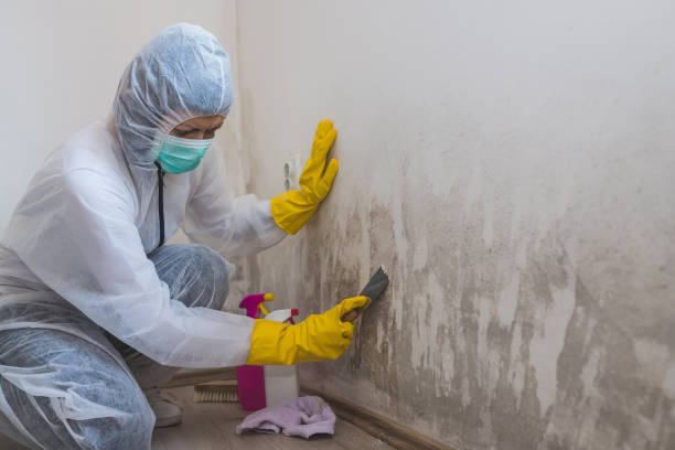 Best Emergency Mold Removal  in Osawatomie, KS
