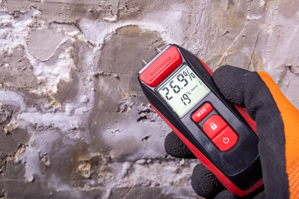 Best Black Mold Removal  in Osawatomie, KS