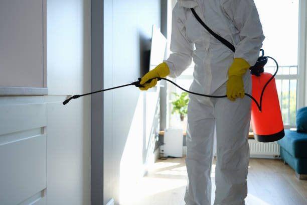 Best Residential Mold Removal  in Osawatomie, KS