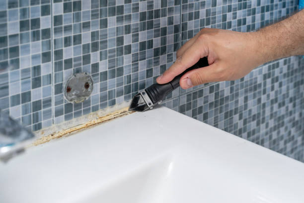 Office Mold Removal Services in Osawatomie, KS