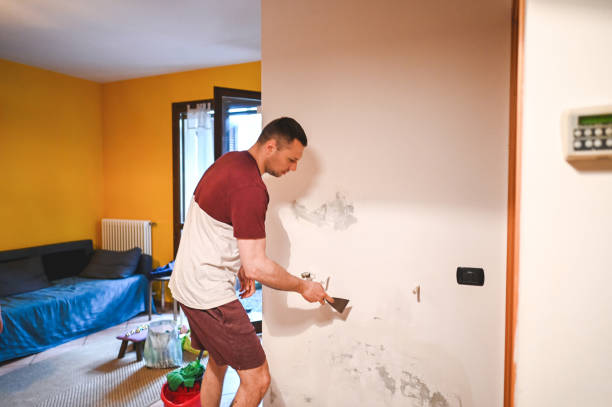 Best Black Mold Removal  in Osawatomie, KS