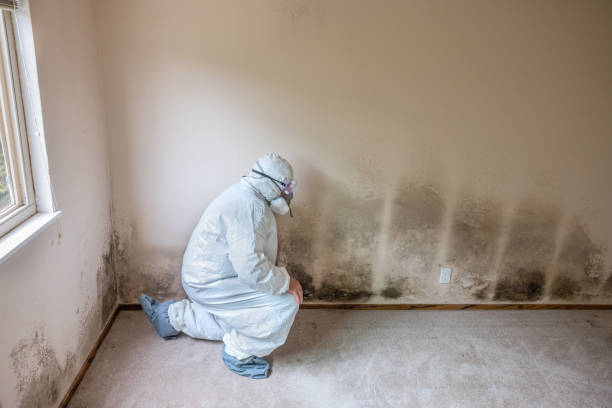 Best Water Damage Restoration  in Osawatomie, KS